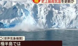 南极最新爆料新闻视频网,神秘生物现踪，极地探险新发现！